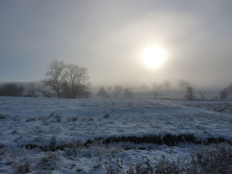 Misty View